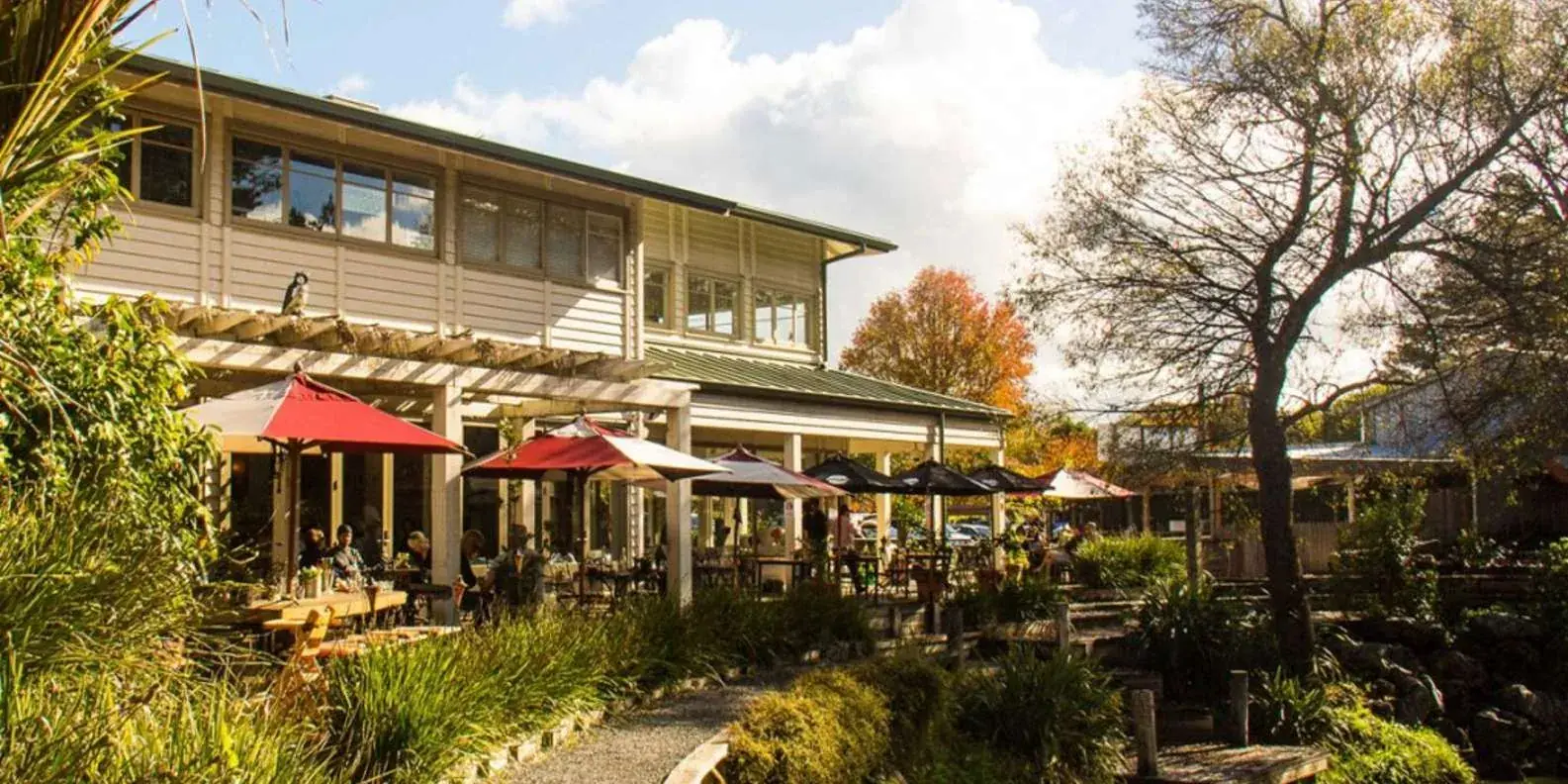 Restaurant exterior beside a large tree