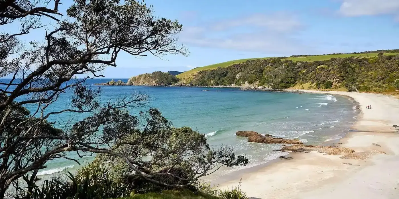 From Auckland: Kiwi Bird Encounter & 3-Course Dinner Tour