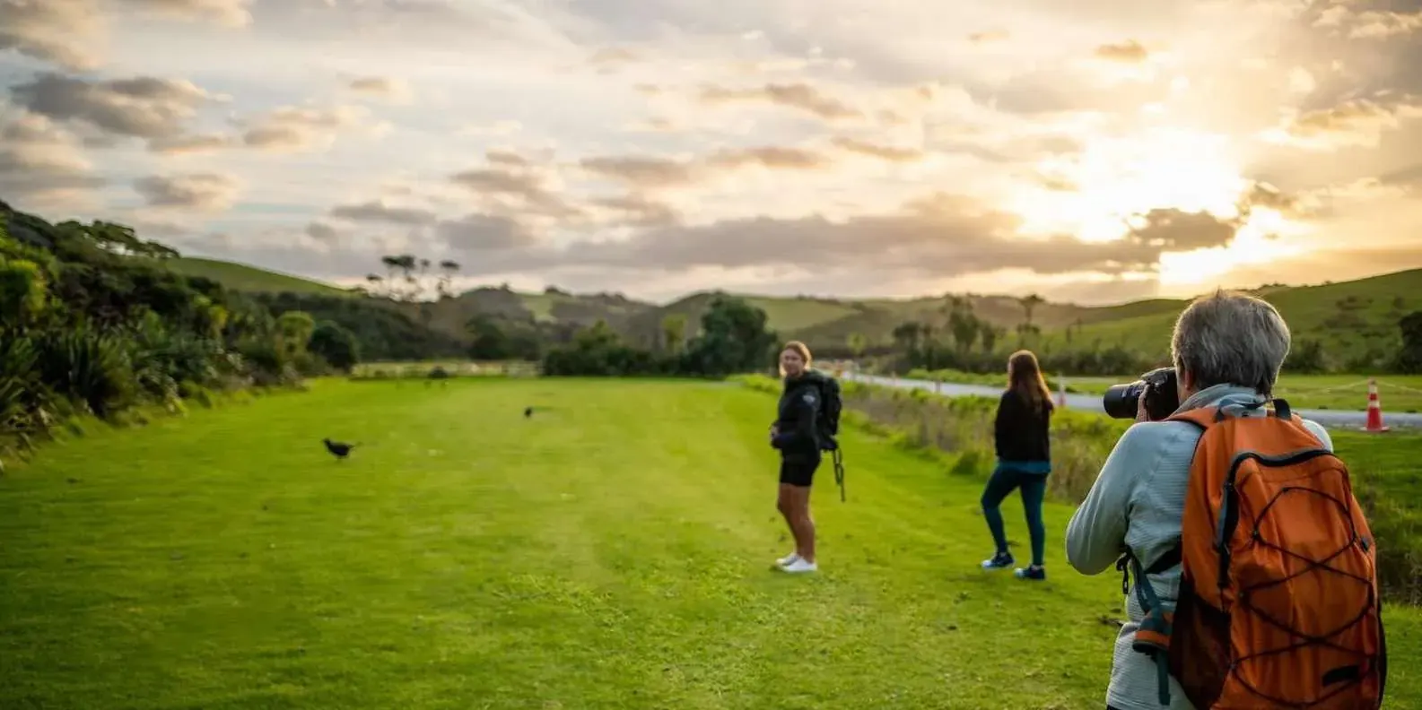 From Auckland: Kiwi Wilderness Experience Guided Tour