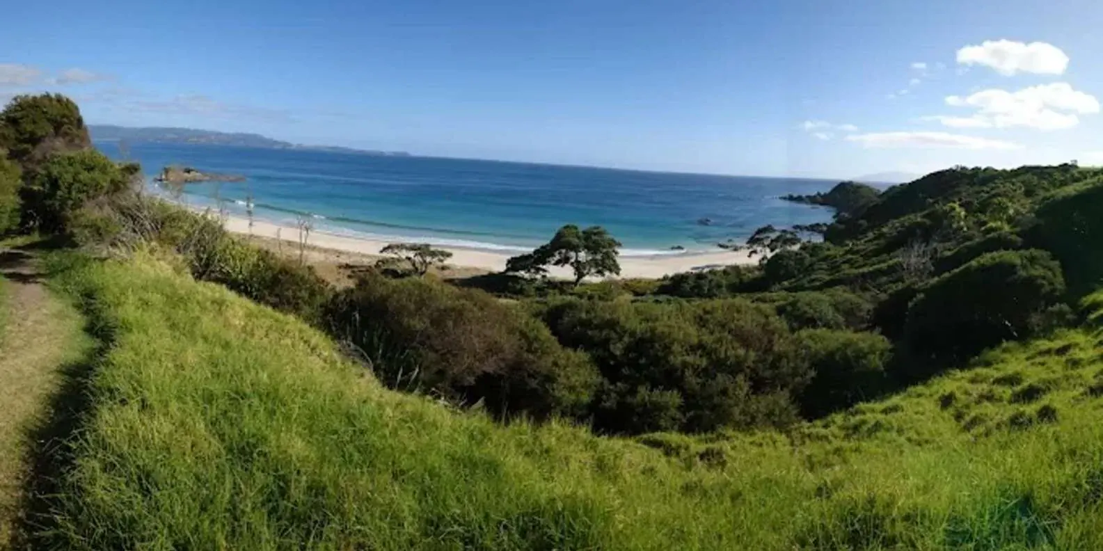 Native bush above a sheltered bay