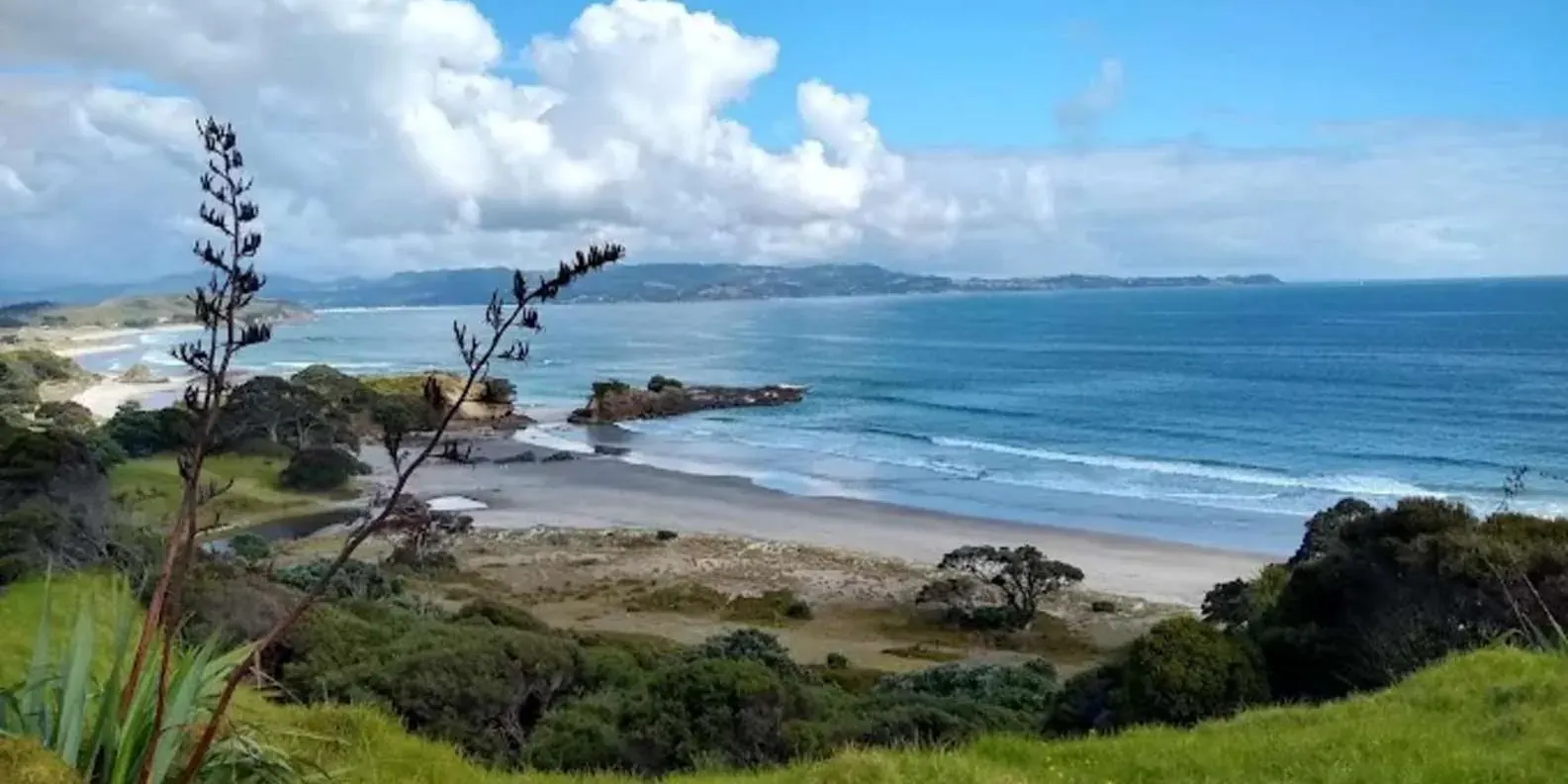A coastal track overlooking the sea