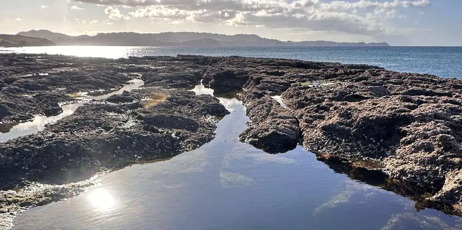 Auckland: Private Tāwharanui, Matakana, Wine and Kiwi Tour
