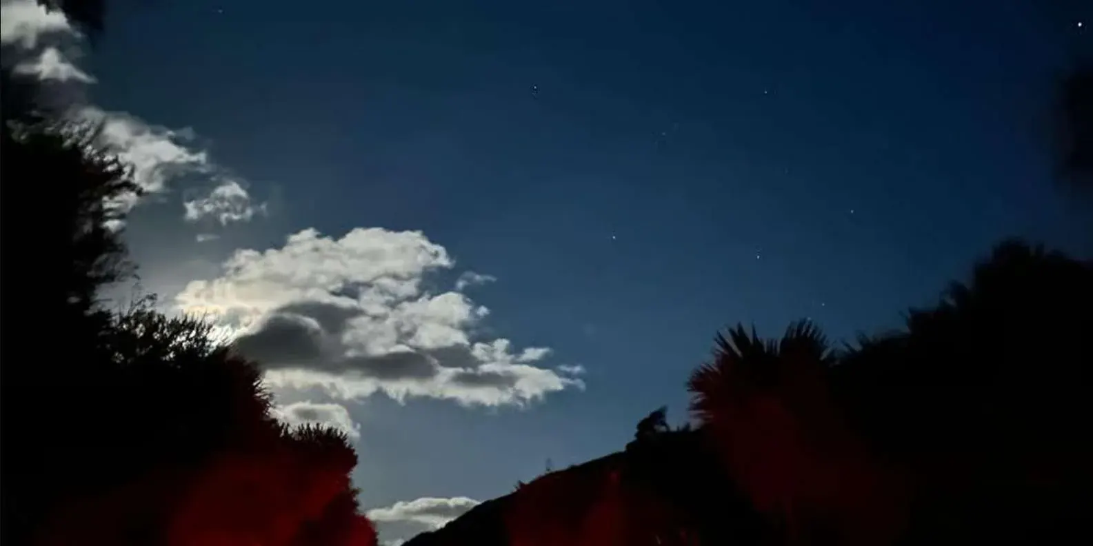Evening sky above the dark outlines of trees