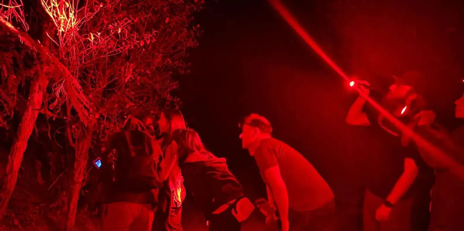 Visitors following a guide with red lights
